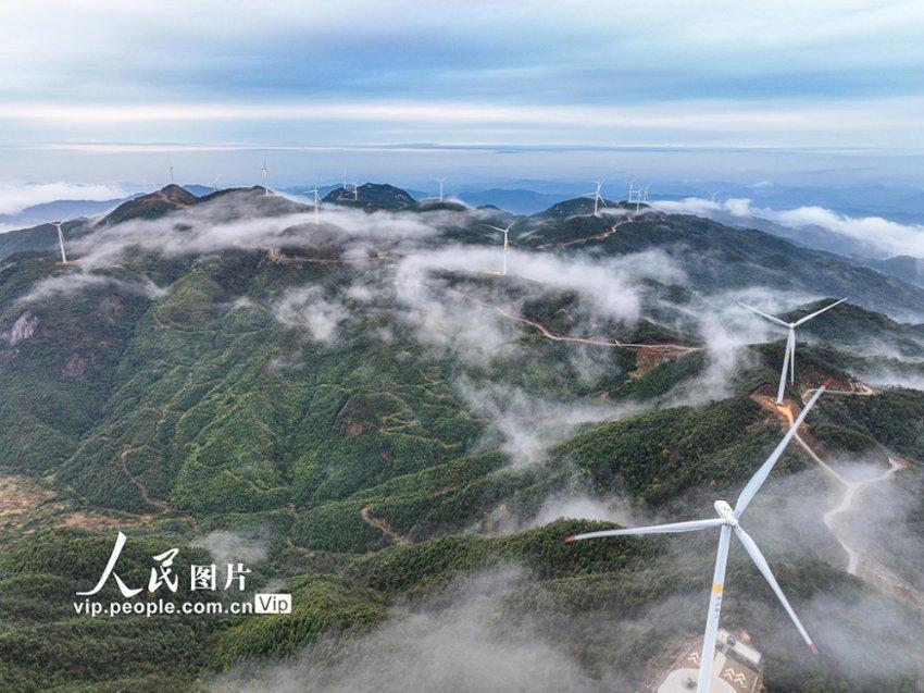 迷你汽车记忆卡