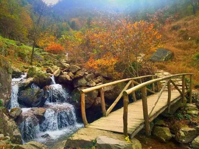 探索知识星球平台,尽在